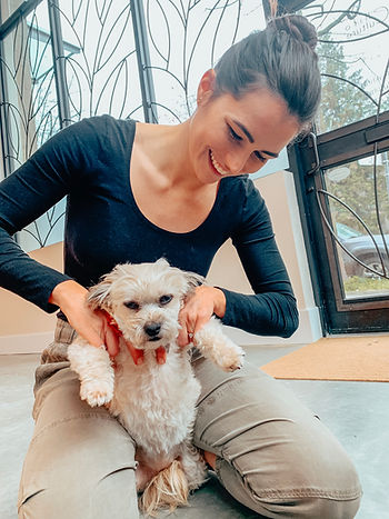 Animal chiropractor Vancouver helping small dog